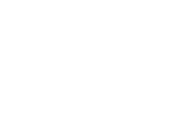 BDO Alliance USA