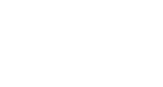 BDO Alliance USA logo